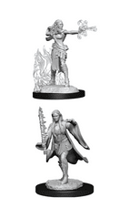 D&D Nolzur's Marvelous Miniatures: Multiclass Warlock + Sorcerer Female (Wave 13)